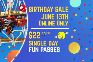 Birthday Sale June 13th Online Only