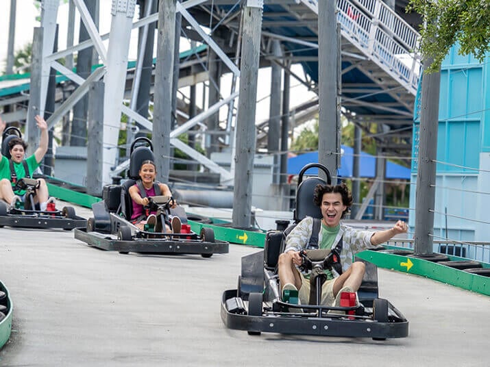 Go Karts Image 1