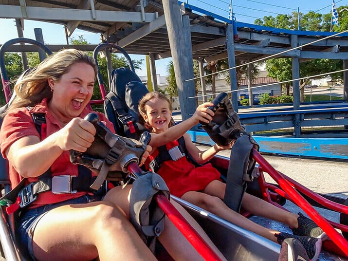 Go Karts Image 2